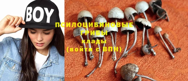 а пвп мука Балахна