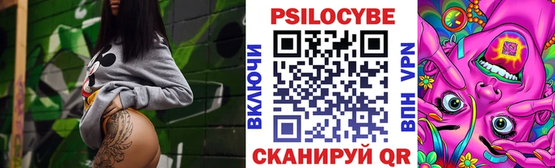 Купить где  Белоусово  Галлюциногенные грибы Cubensis 